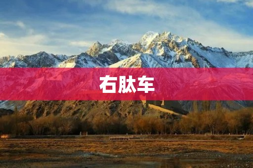 右肽车：改变城市出行方式的新选择