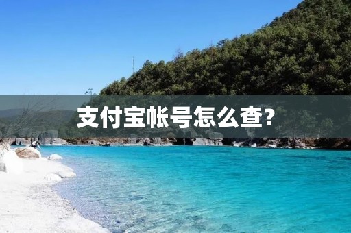 支付宝帐号怎么查？