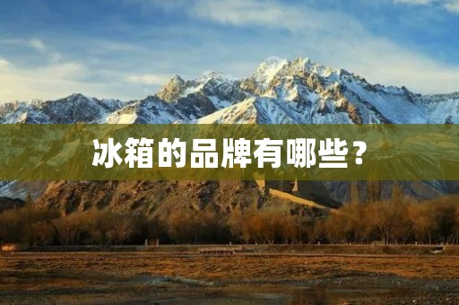 冰箱的品牌有哪些？