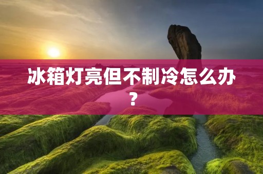 冰箱灯亮但不制冷怎么办？
