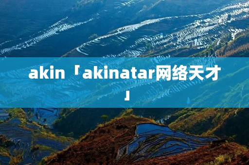 akin「akinatar网络天才」