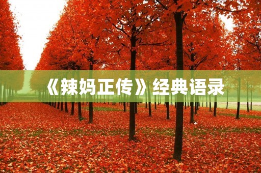 《辣妈正传》经典语录