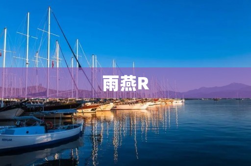 雨燕R:让你的出行更加智能化