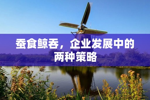 蚕食鲸吞,企业发展中的两种策略 蚕食鲸吞,企业发展中的两种策略