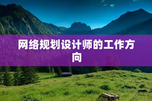 网络规划设计师的工作方向