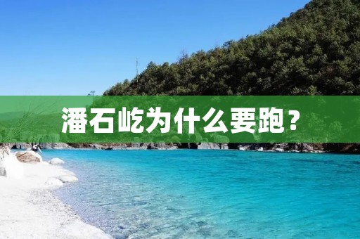 潘石屹为什么要跑? 潘石屹为什么要跑?