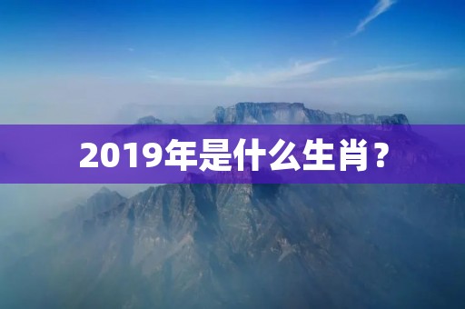 2019年是什么生肖?