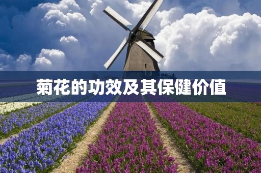 菊花的功效及其保健价值 菊花的功效及其保健价值