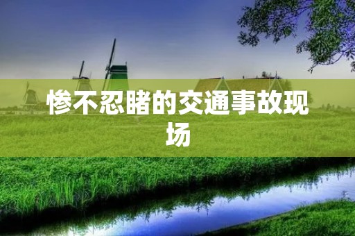 惨不忍睹的交通事故现场 惨不忍睹的交通事故现场