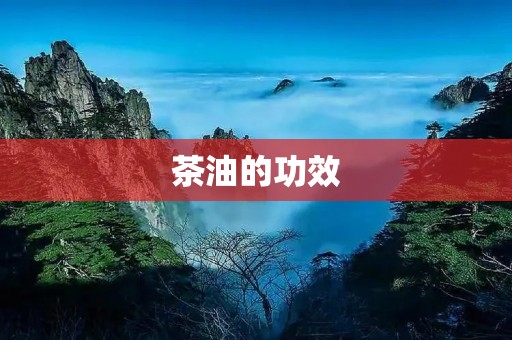 茶油的功效