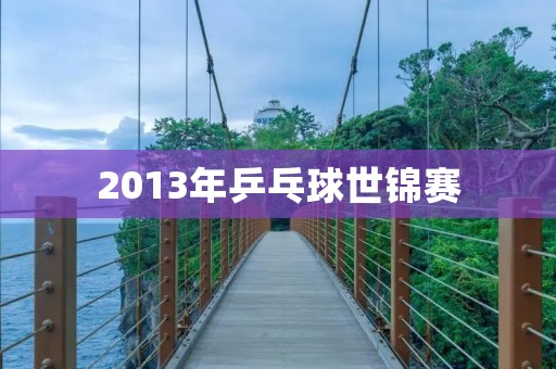 2013年乒乓球世锦赛:中国队再次夺冠 2013年乒乓球世锦赛:中国队再次夺冠