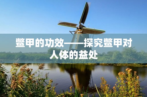 鳖甲的功效——探究鳖甲对人体的益处