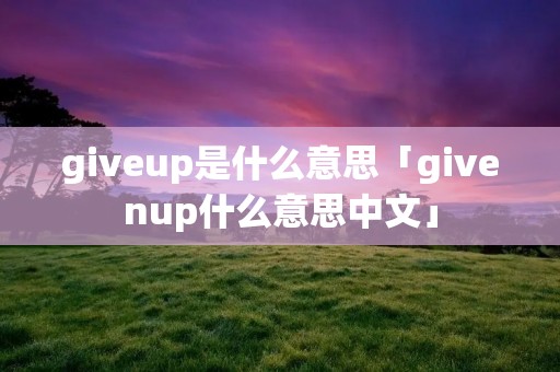 giveup是什么意思「givenup什么意思中文」