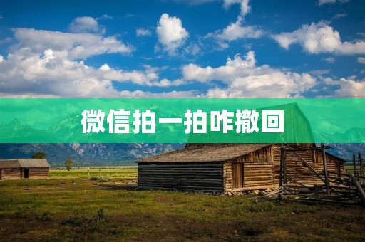 微信拍一拍咋撤回
