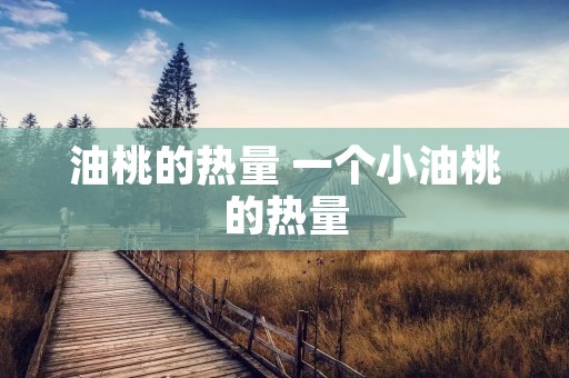 油桃的热量 一个小油桃的热量