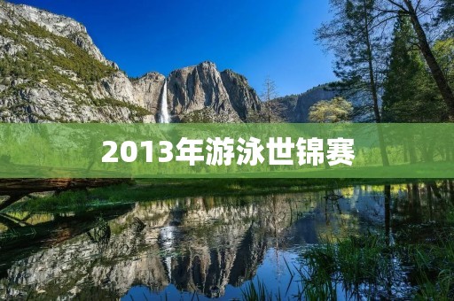 2013年游泳世锦赛:中国队再次创造历史 2013年游泳世锦赛:中国队再次创造历史