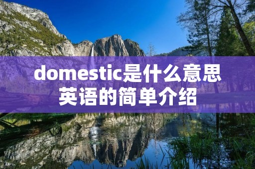 domestic是什么意思英语的简单介绍
