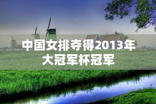 中国女排夺得2013年大冠军杯冠军