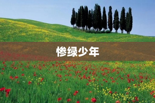 惨绿少年：一个内心扭曲的少年