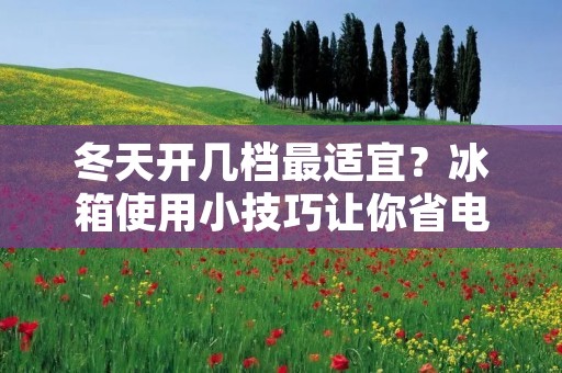 冬天开几档最适宜？冰箱使用小技巧让你省电又省心
