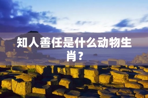 知人善任是什么动物生肖?