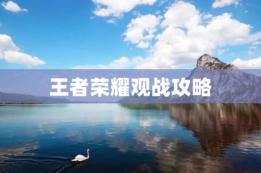 王者荣耀观战攻略：如何提升观战体验？