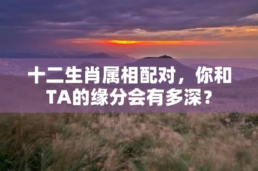 十二生肖属相配对,你和TA的缘分会有多深?