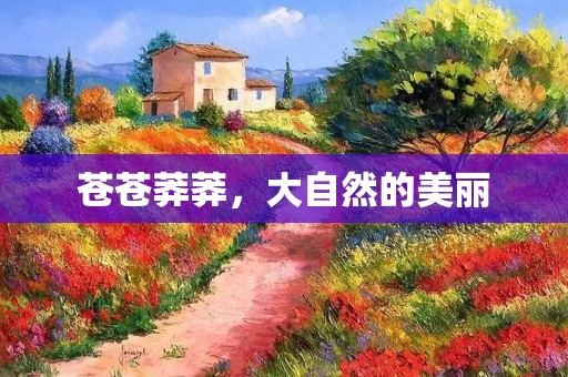 苍苍莽莽，大自然的美丽