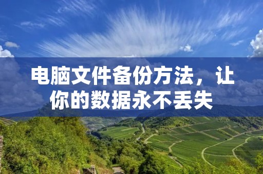 电脑文件备份方法,让你的数据永不丢失 电脑文件备份方法,让你的数据永不丢失