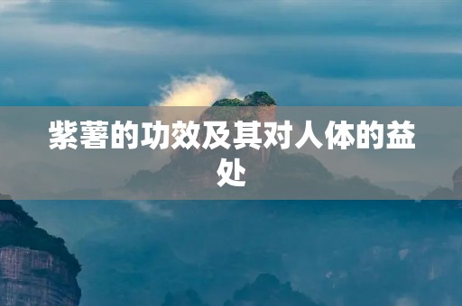 紫薯的功效及其对人体的益处