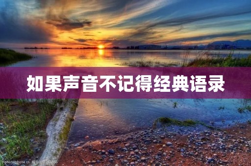 如果声音不记得经典语录