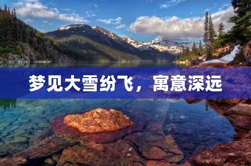 梦见大雪纷飞,寓意深远