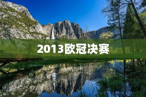 2013欧冠决赛：拜仁慕尼黑vs多特蒙德