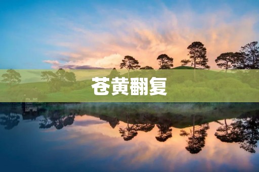 苍黄翻复：揭开历史的神秘面纱