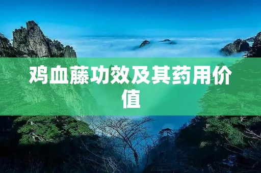 鸡血藤功效及其药用价值 鸡血藤功效及其药用价值