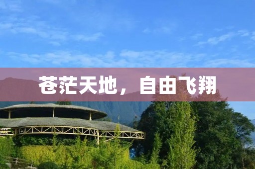 苍茫天地,自由飞翔 苍茫天地,自由飞翔