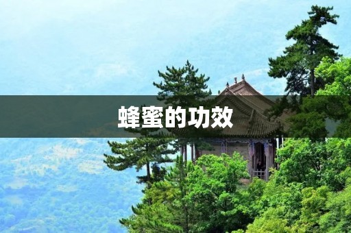蜂蜜的功效:从美容养颜到增强免疫力 蜂蜜的功效:从美容养颜到增强免疫力
