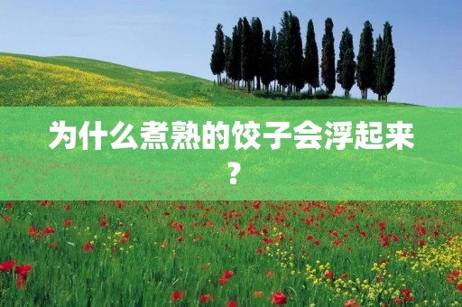 为什么煮熟的饺子会浮起来？