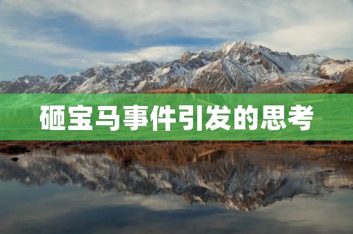 砸宝马事件引发的思考:暴力行为的背后 砸宝马事件引发的思考:暴力行为的背后