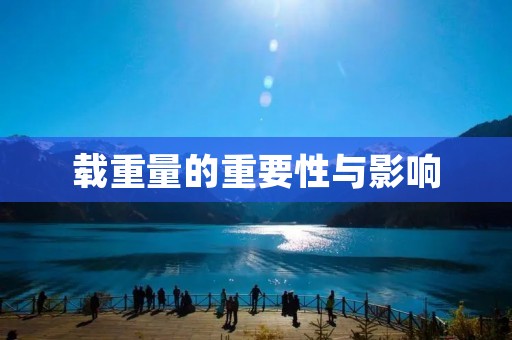 载重量的重要性与影响 载重量的重要性与影响
