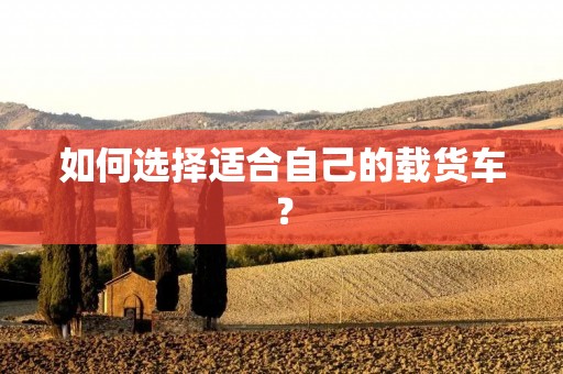如何选择适合自己的载货车? 如何选择适合自己的载货车?