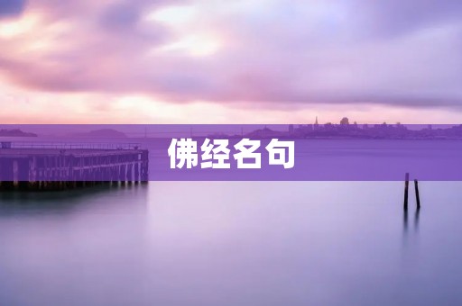 佛经名句:开悟之路