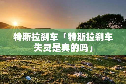 特斯拉刹车「特斯拉刹车失灵是真的吗」