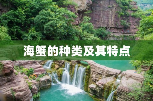 海蟹的种类及其特点