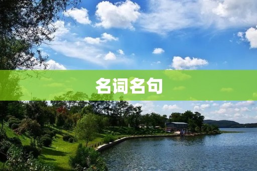 名词名句:探究中文句子中的名词运用