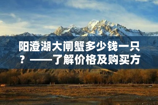 阳澄湖大闸蟹多少钱一只？——了解价格及购买方式