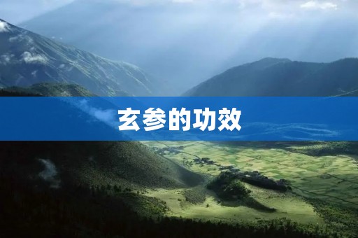 玄参的功效：清热解毒、润肺止咳、降血脂