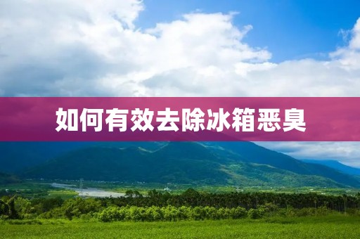 如何有效去除冰箱恶臭 如何有效去除冰箱恶臭