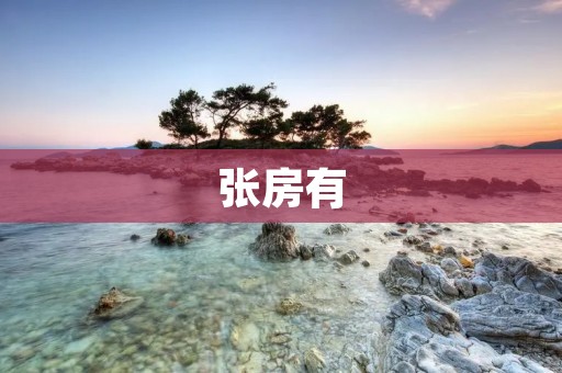 张房有：一个独特的文化现象