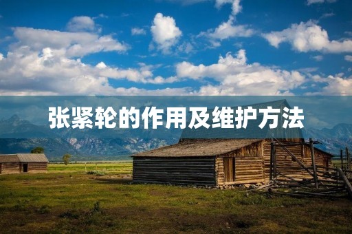 张紧轮的作用及维护方法 张紧轮的作用及维护方法